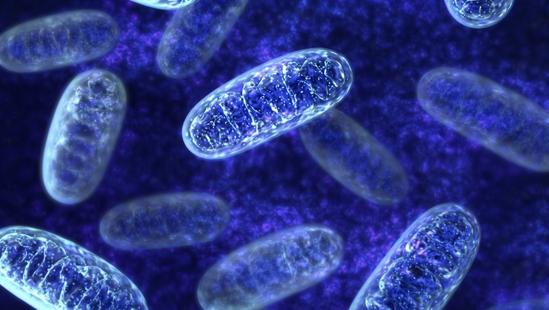 The OsteoStrong® Mitochondria Energy Blueprint