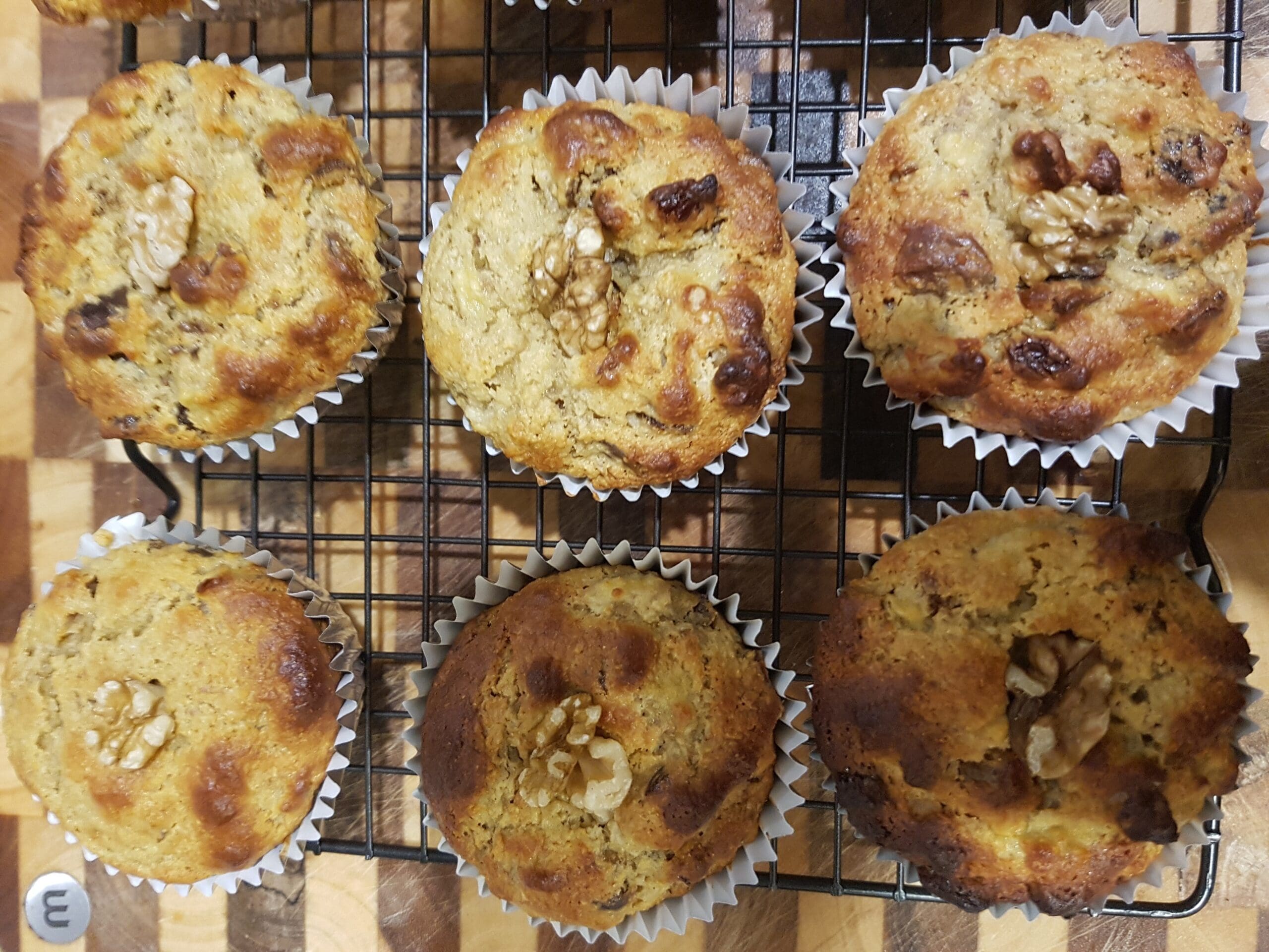 Robyn’s High Protein Muffins