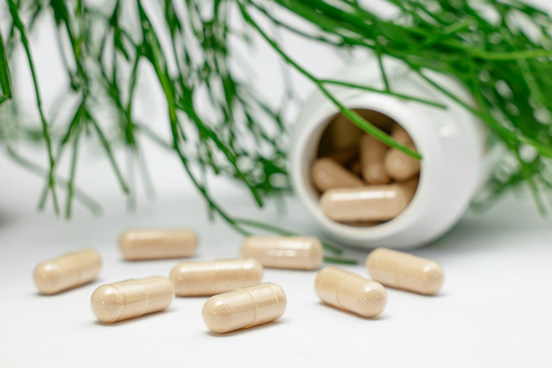Fatty C15:0 – A “New Vitamin” for Bone Health and Longevity?