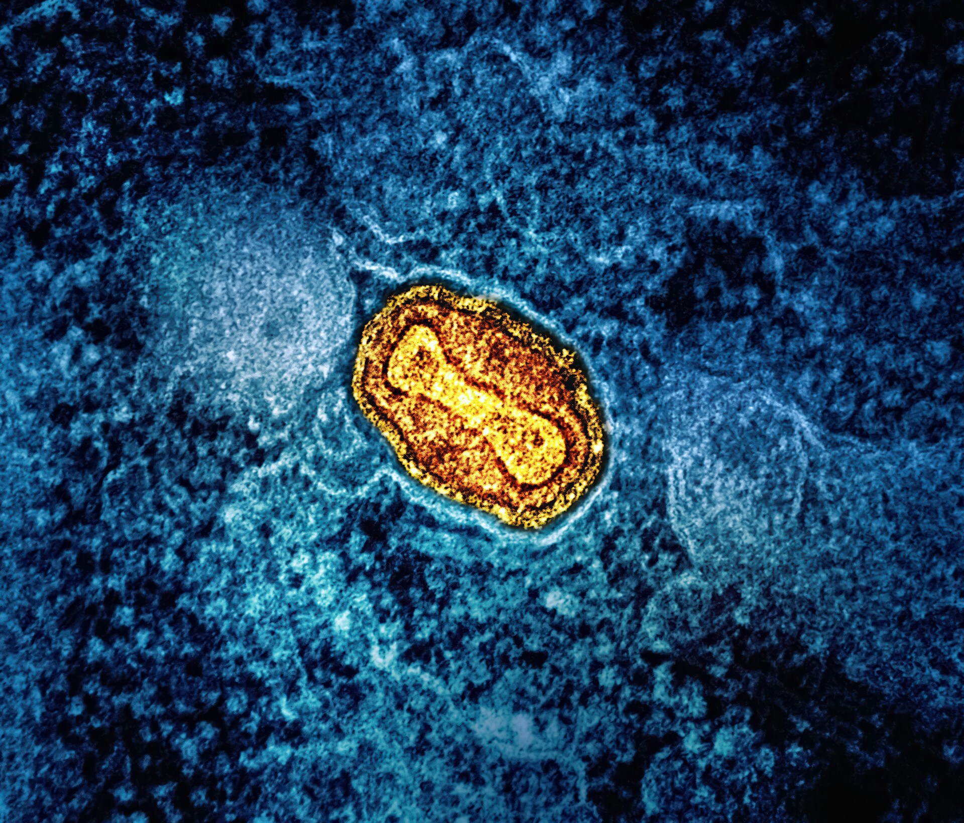Your Bodies 4-Billion-Year-Old Operating System – LUCA, Mitochondria and OsteoStrong®