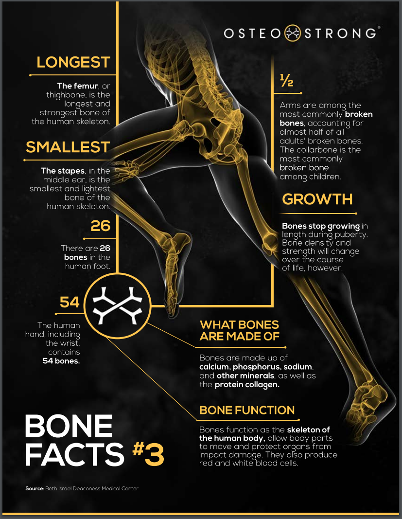 Bone Facts #3 | OsteoStrong